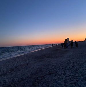 Meet your Posher, Dawn